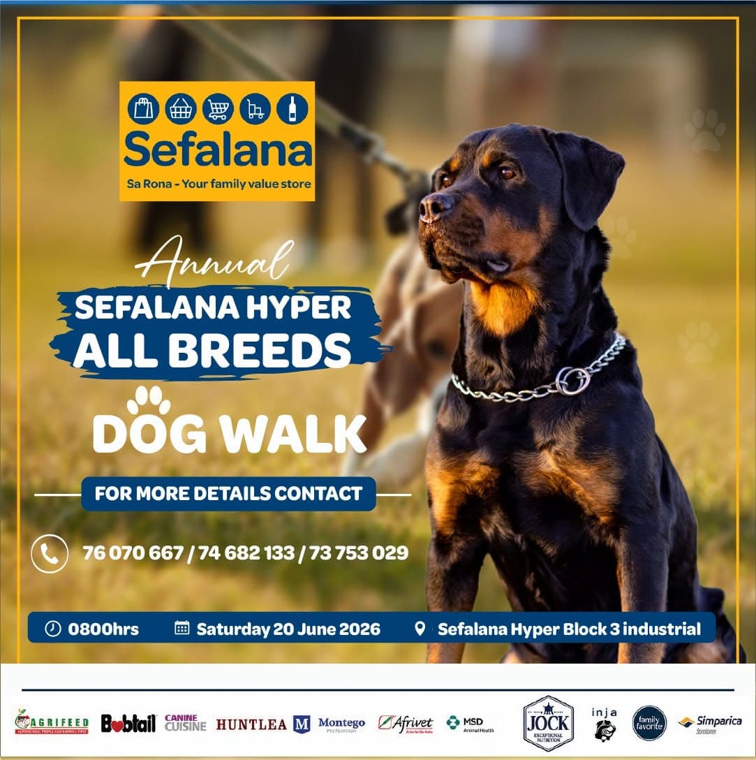 Annual All-Breeds Dog Walk at Sefalana Hyper